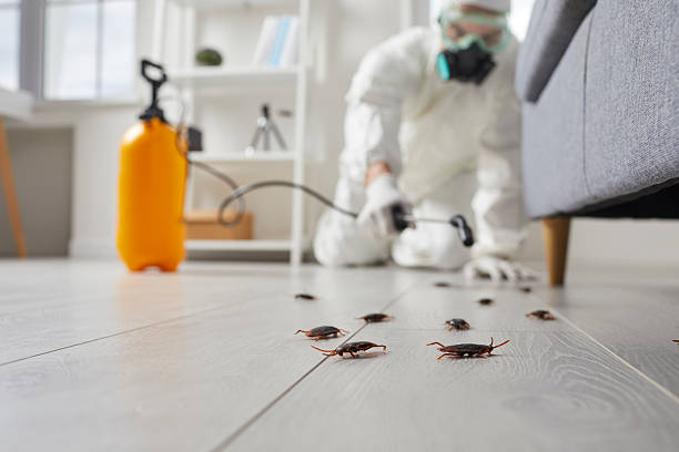 Post-Treatment Bed Bug Interceptor Monitoring in Harper