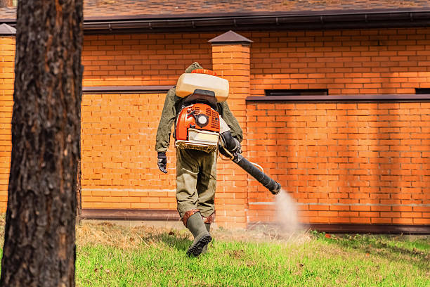 Bed Bug Clearance Verification and Documentation in Harper
